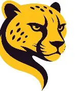 Cheetah Tool Pro Activation (6 Months)