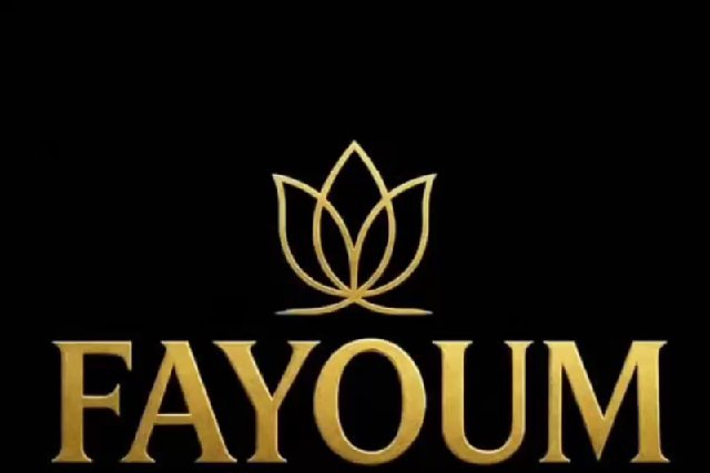 FAYOUM AUTH TOOL Xiaomi FRP Remove ( EXITING USER )